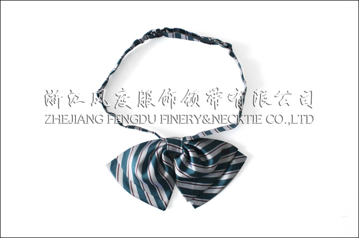6189883_湖南磁浮交通發(fā)展股份有限公司領花裁剪.jpeg